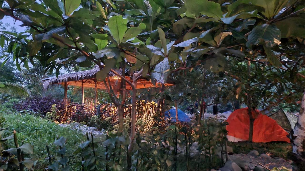 Etalauser Jungle Gate Ecoresort Букит-Лаванг Экстерьер фото
