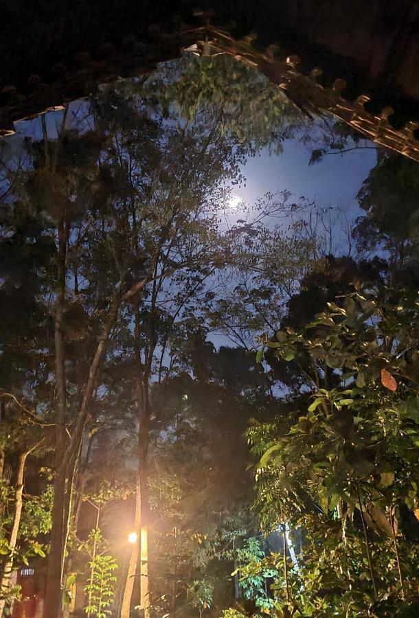 Etalauser Jungle Gate Ecoresort Букит-Лаванг Экстерьер фото