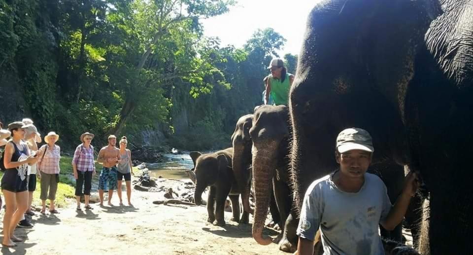 Etalauser Jungle Gate Ecoresort Букит-Лаванг Экстерьер фото
