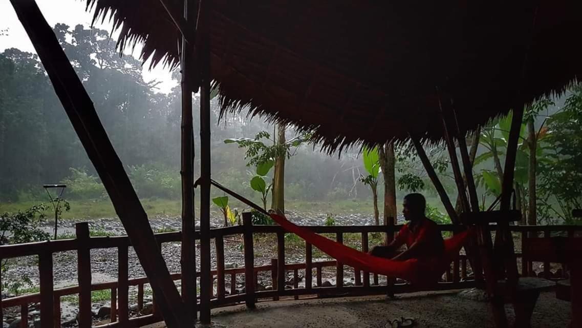 Etalauser Jungle Gate Ecoresort Букит-Лаванг Экстерьер фото