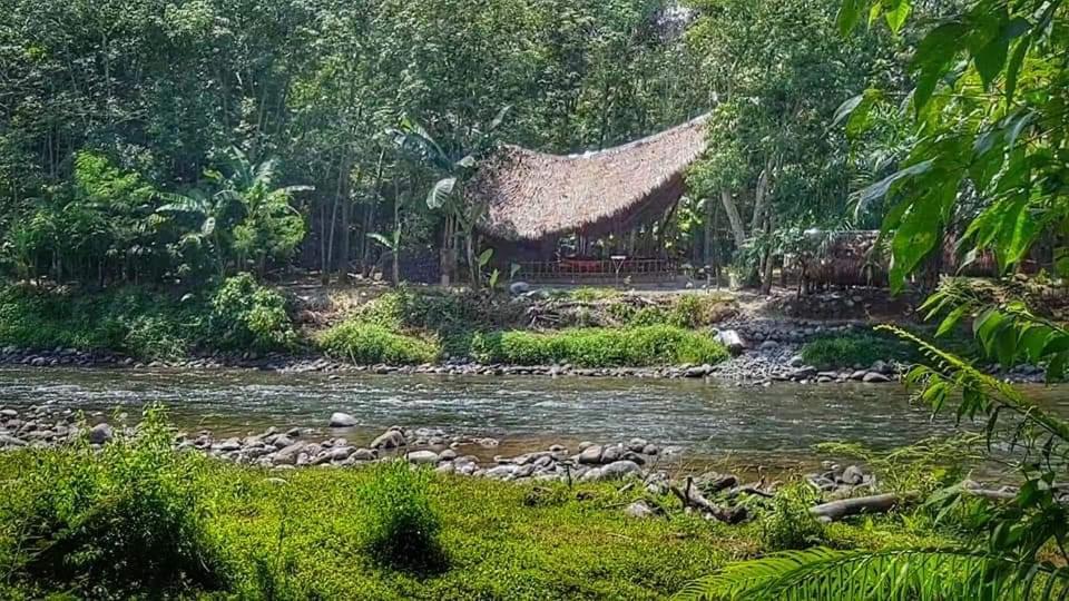 Etalauser Jungle Gate Ecoresort Букит-Лаванг Экстерьер фото
